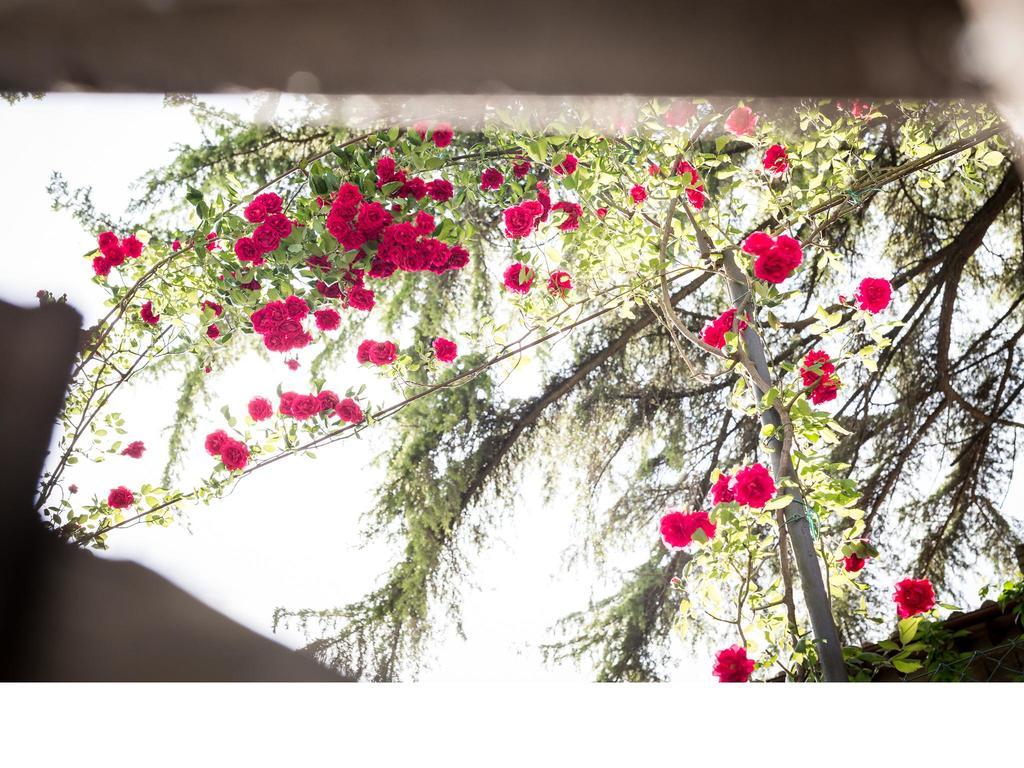 Bed and Breakfast Casa Fiorita Sant'Enea Экстерьер фото
